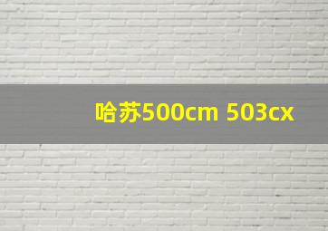 哈苏500cm 503cx